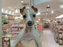 新入生たち(笑)