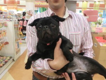 お迎え♪と　今日のワンちゃん♪