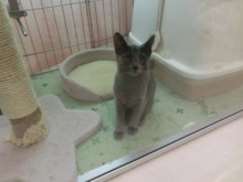 ポチたまにて♪