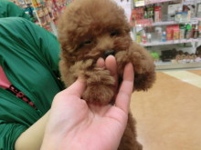 昨日の続きから♪