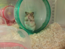 カラカラ・・・・