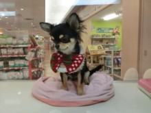 寝ぞうの悪さ(´∀｀)