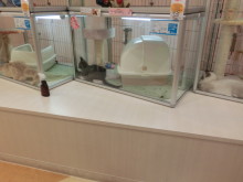 ポチたまの仲間たち♪