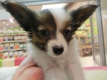 すぐに　お散歩♪