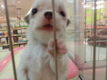 新メンバー(*^_^*)