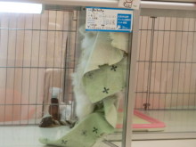 お掃除・・・!?