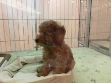 お山の大将(^-^)