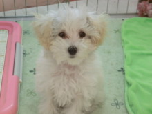 モデルになれるかな(๑≧౪≦)