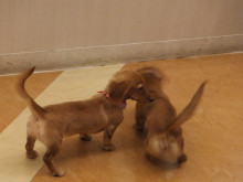 感動の・・・(=´∀｀)