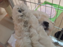 かくれんぼ(つд⊂)