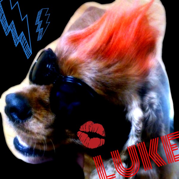 PicsArt_1374330078236[1]