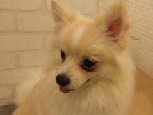 マイクロバブル体験♪