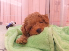 みんなお疲れ(ﾟДﾟ)ﾉ