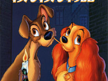 紹介します～(*´д｀*)