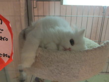 遊んで～(´∀｀)