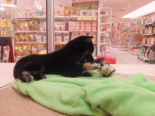 正解は〜(･∀･)