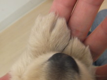 クイズです(☆∀☆)