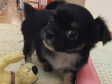 モコモコ～(*´д｀*)