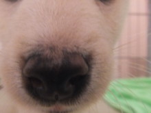 新メンバーです(^O^)!