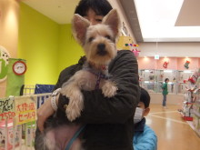 お迎えになりました(｡･ ω<)