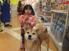 日曜日のポチたま♪