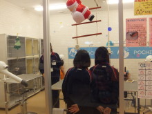 許してぇ～(ToT)