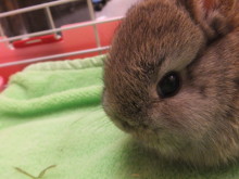 クイズです(๑≧౪≦)