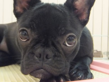 クイズです(´∀｀)