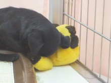 寝る子は育つ!(^O^)