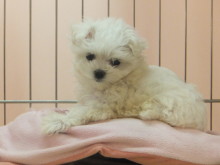 日曜日(*ﾟ▽ﾟ*)