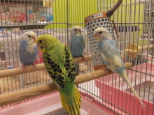 合コン（;￣O￣）