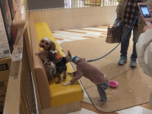 最終日(´∀｀)～♪