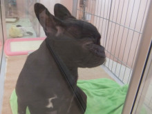 撮影拒否・・・(°д°)?