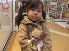 お迎えになりました(*´д｀*)