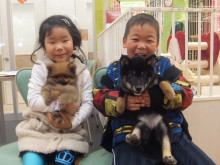 お迎えになりました(*´д｀*)