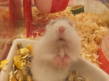 ２月だぁ～(*^_^*)♪