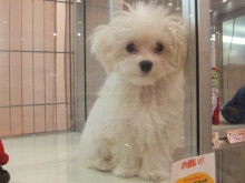 寒いですね((´д｀))