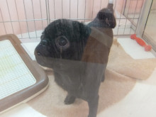 ルンルン▽・ｗ・▽