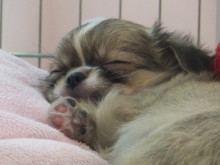 ♡可愛い寝顔♡