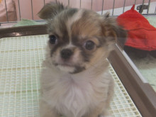 撮って～(＞＜)