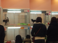 土曜日ですよ(*ﾟ▽ﾟ*)