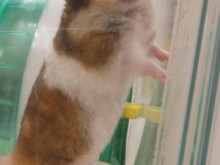 ぽかぽか(´O｀)