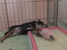 反抗期。。。(￣▽￣)？