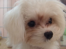 お迎えになりました。