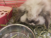 ぽっかぽか～✿