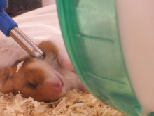 事件発生。。。(ﾟДﾟ≡ﾟДﾟ)