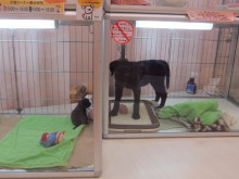 ぽかぽかぽか～(*´д｀*)