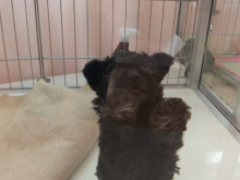 お迎え(*´ω｀*)