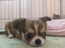 ポカポカ休日(*´ω｀*)