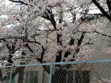 正解発表～(*´д｀*)/